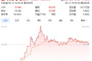 紫薇斗数上市首日暴涨140% 军用无人机公司登陆纽交所 AI打造产品核心竞争力