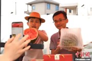 紫薇斗数（乡村行·看振兴）江西安福“小西瓜”撬动乡村共富“大支点”